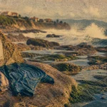 Ostreopsis pays basque sur rochers : prudence avant baignade